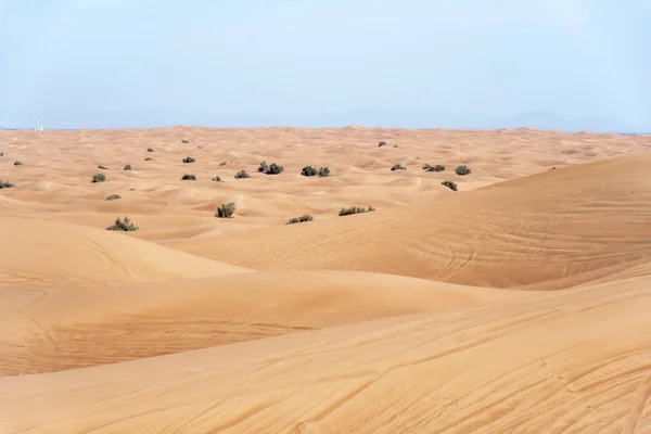 Sharjah Woestijn Gebied Een Van Meest Bezochte Plaatsen Voor Achteruitgaat — Stockfoto