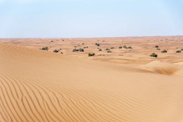 Sharjah Zone Désertique Des Endroits Les Visités Pour Hors Route — Photo