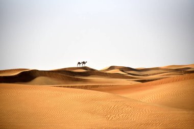 Develer Al Bidayer çöl dunes, Dubai, Birleşik Arap Emirlikleri