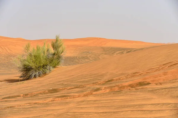 Рожевий Рок Шарджа Пустелі Області Один Найбільш Відвідуваних Місць Поза — стокове фото