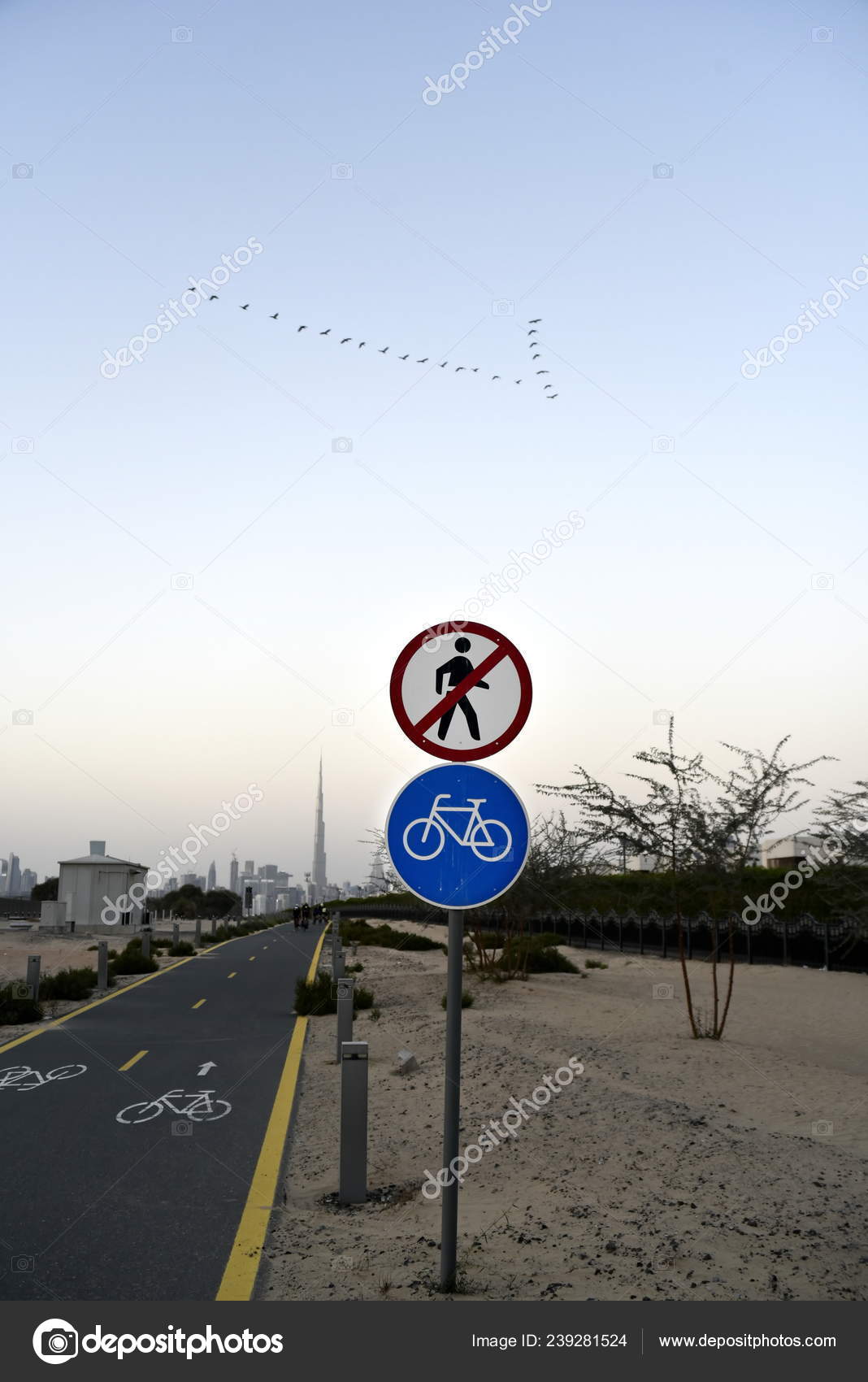nad al sheba bike track