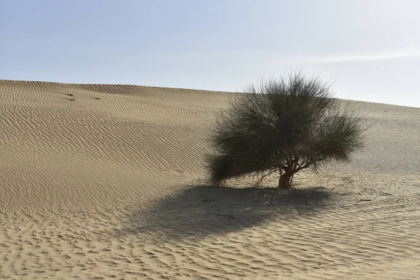 Attorno Laghi Lisalli Qudra Road Avventura Desert Safari Dubai Emirati — Foto Stock