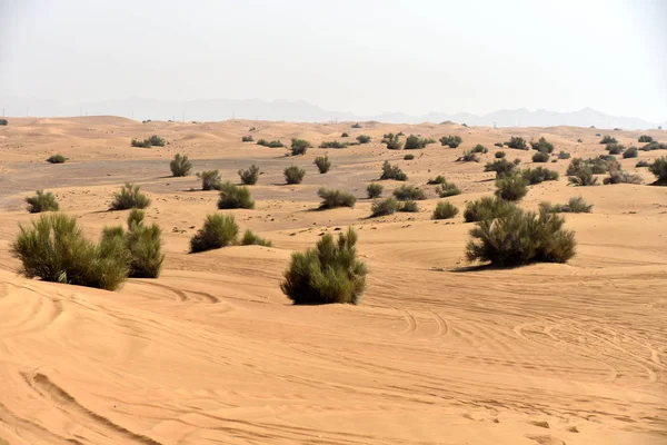 Rózsaszín Rock Sharjah Sivatagi Területen Egyik Leglátogatottabb Hely Roading Által — Stock Fotó