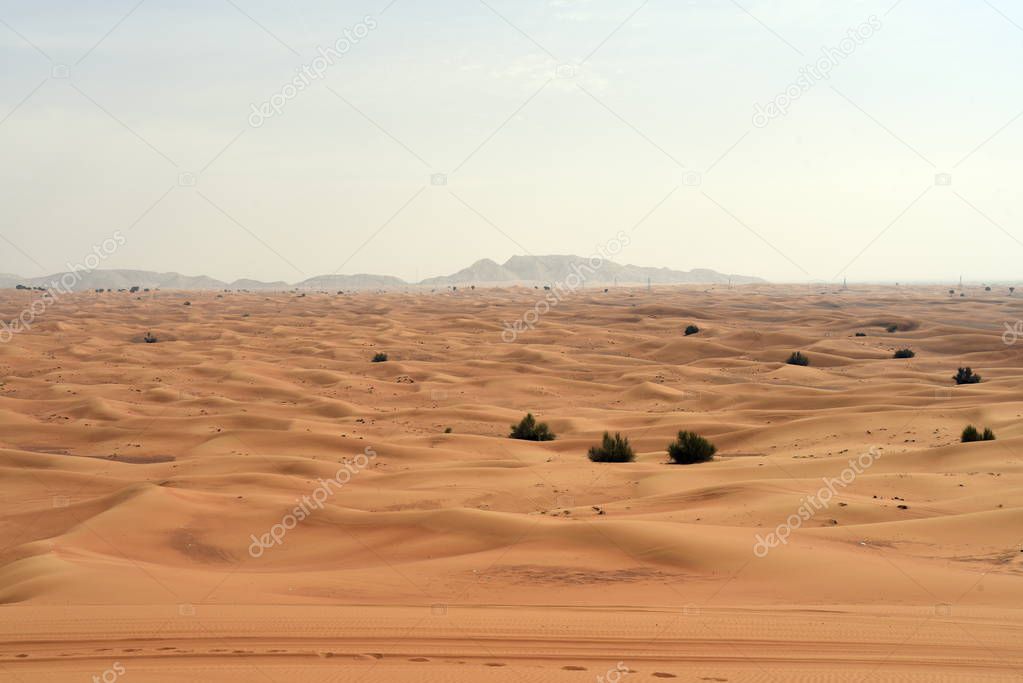 Pink Rock and Sharjah desert area, one of the most visited places for Off-roading by off roaders