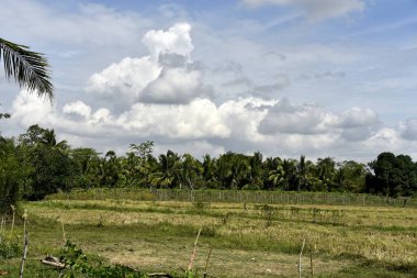 Santiago City çevresinde, Isabela, Filipinler, Santiago City Si