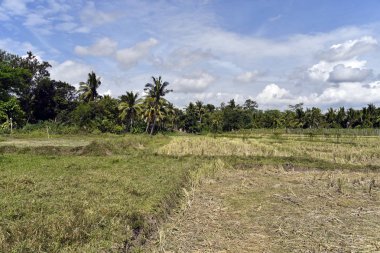 Santiago City çevresinde, Isabela, Filipinler, Santiago City Si