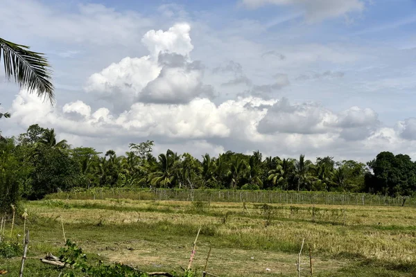 Santiago City çevresinde, Isabela, Filipinler, Santiago City Si