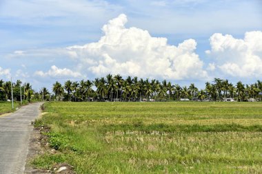 Santiago City çevresinde, Isabela, Filipinler, Santiago City Si