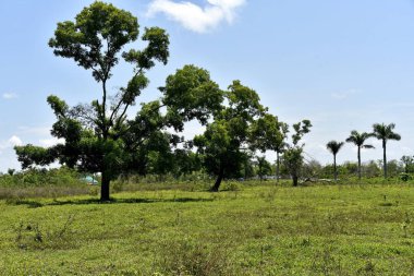 Santiago City çevresinde, Isabela, Filipinler, Santiago City Si