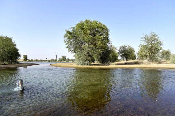 Landscape from al qudra lakes at the day, Dubai, United Arab Emi — Stock Photo, Image