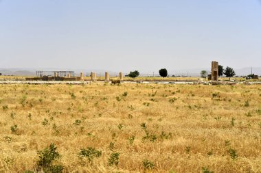 Pasargadae, Şiraz, Fars Province, İran, 22 Haziran 2019
