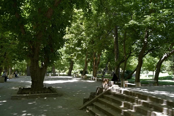 Eram Garden(B gh-e Eram), Şiraz, İran — Stok fotoğraf
