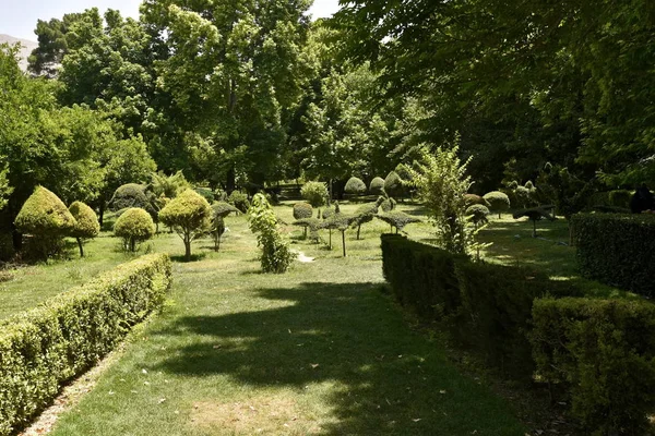 Pohled na ERAM Garden (B. GH-e ERAM), Shiraz, Írán — Stock fotografie