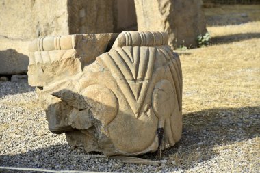 Persepolis (Takht-e-Jamshid veya Taxt e Jamsid veya Jamshi Tahtı