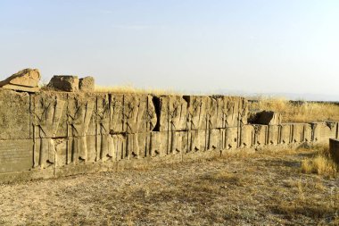 Persepolis (Takht-e-Jamshid veya Taxt e Jamsid veya Jamshi Tahtı