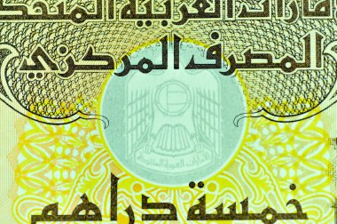Yakın plan Birleşik Arap Emirlikleri Para Birimi, Dirhams and Fils, Dubai, Abu Dabi