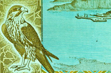 Yakın plan Birleşik Arap Emirlikleri Para Birimi, Dirhams and Fils, Dubai, Abu Dabi