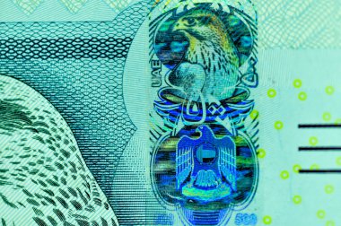 Yakın plan Birleşik Arap Emirlikleri Para Birimi, Dirhams and Fils, Dubai, Abu Dabi