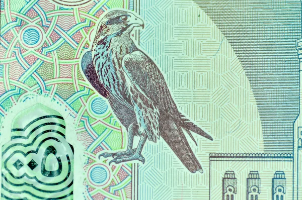 Close United Arab Emirates Currency Dirhams Fils Dubai Abu Dhabi — Stock Photo, Image