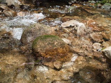 Şelale 357 ve bereketli ormanda doğa.