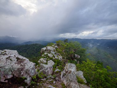 Pha Phaya Mai, vadide bir uçurum ve sabah sisi.