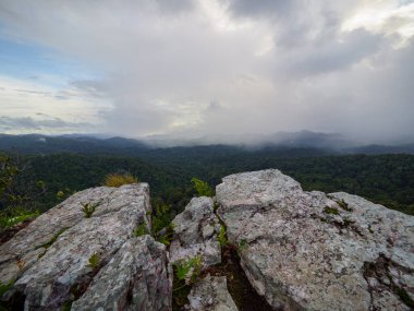 Pha Phaya Mai, vadide bir uçurum ve sabah sisi.