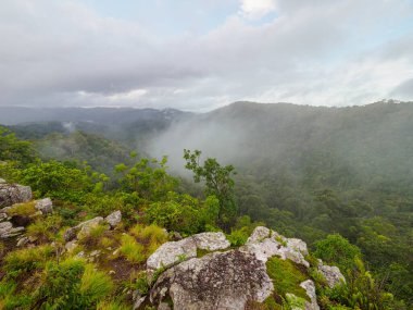 Pha Phaya Mai, vadide bir uçurum ve sabah sisi.