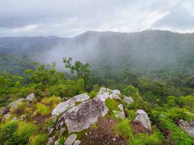 Pha Phaya Mai, vadide bir uçurum ve sabah sisi.
