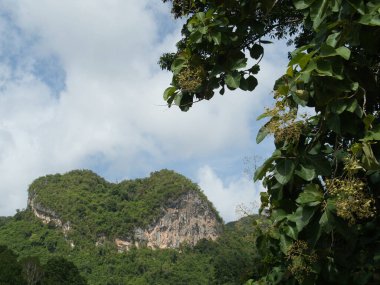 Khao Sok Ulusal Parkı 'ndaki kalp şeklinde bir dağ Surat Thani Eyaleti' nin doğal turistik merkezi.