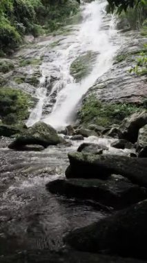 Tad Fa Şelalesi ve Nong Khai dağlarındaki ormanların zengin doğası.