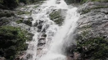 Tad Fa Şelalesi ve Nong Khai dağlarındaki ormanların zengin doğası.