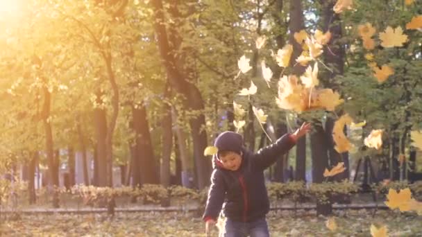 Jongetje gooien herfst bladeren in het park. — Stockvideo