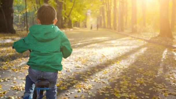 Kleine jongen blauwe fiets in het stadspark in de herfst — Stockvideo