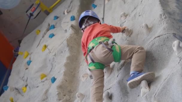 Liten pojke klättrar en bergvägg i en sele inomhus. Begreppet idrottsliv. — Stockvideo
