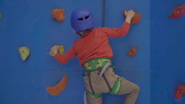 Mały chłopiec przedszkola, ściana wspinaczkowa w pomieszczeniu, zabawy, aktywne dzieci — Wideo stockowe