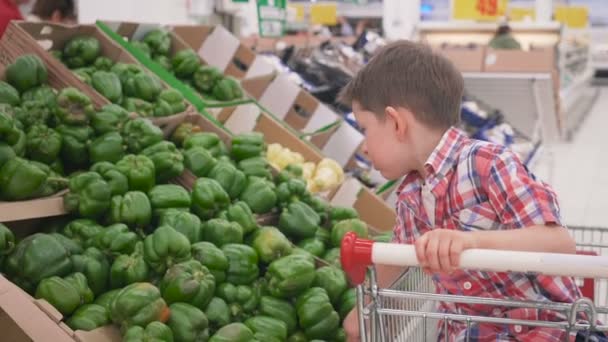 Menino no supermercado a escolher pimentas búlgaras sentadas no carrinho. Compras na loja, produtos frescos para cozinha e culinária . — Vídeo de Stock