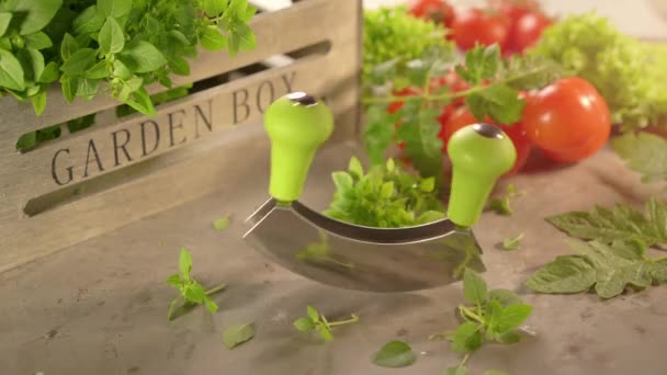 Cinemagraph konyhai fűszernövények és paradicsom egy Mezzaluna késsel — Stock videók