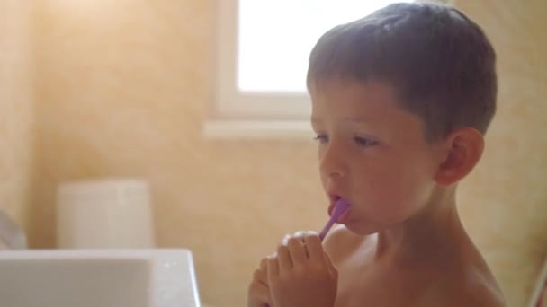 Niño pequeño cepillándose los dientes — Vídeo de stock