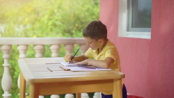 Schattige kleine jongen tekenen in zijn album op groene natuur achtergrond — Stockvideo