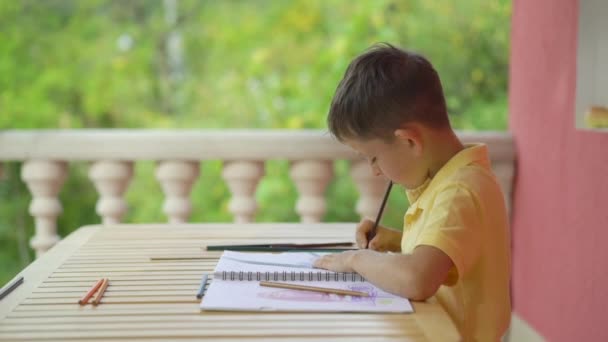 Niedlicher kleiner Junge zeichnet in seinem Album auf grünem Naturhintergrund — Stockvideo