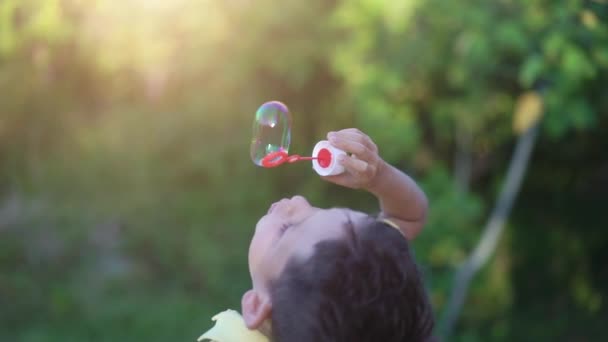 Kisfiú fúj szappanbuborékok a természet zöld háttér — Stock videók