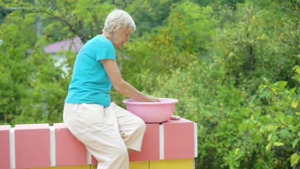 Vieille femme laver les vêtements dans un bassin en plastique rose sur fond vert nature — Video