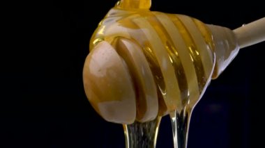 Siyah arka planda taze bal damlıyor.