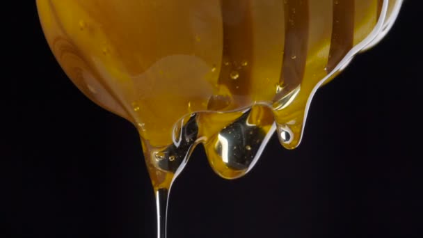 Gouttage de miel frais sur un fond noir — Video