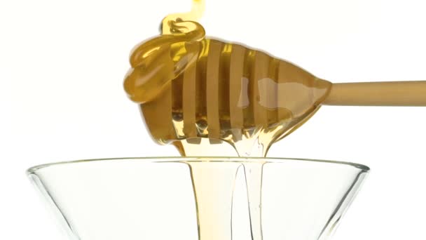 Cuenco de vidrio con miel y cazo de palo de madera sobre fondo blanco — Vídeos de Stock