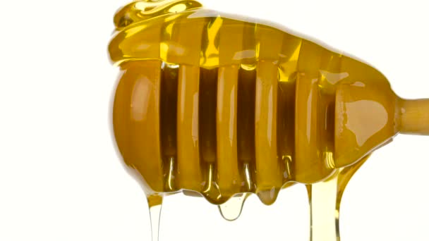 Honey flowing down from a wooden honey dipper on white background — Stock Video