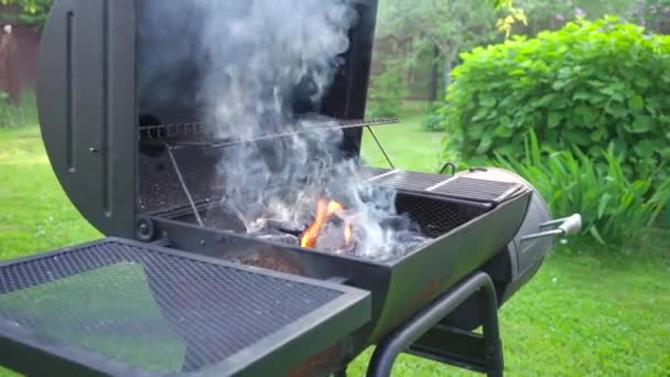 Гриль для барбекю с огнем и горящими углями, летнее время пикника, барбекю гриль в саду — стоковое видео
