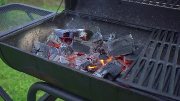 Parrilla de barbacoa con fuego y brasas, picnic de verano, parrilla de barbacoa en el jardín — Vídeos de Stock