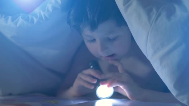 Söt söt liten pojke njuter av att läsa intressant saga liggande i varm säng, hålla ficklampa avkopplande hemma, glad unge har kul i sovrum, kreativ barnaktivitet utbildning koncept — Stockvideo