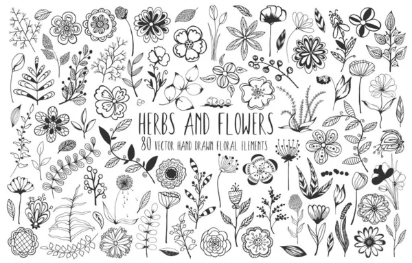 Decoratieve Grote Set Van Bloemenelementen Handgetekende Doodle Schets Van Bloeiende — Stockvector